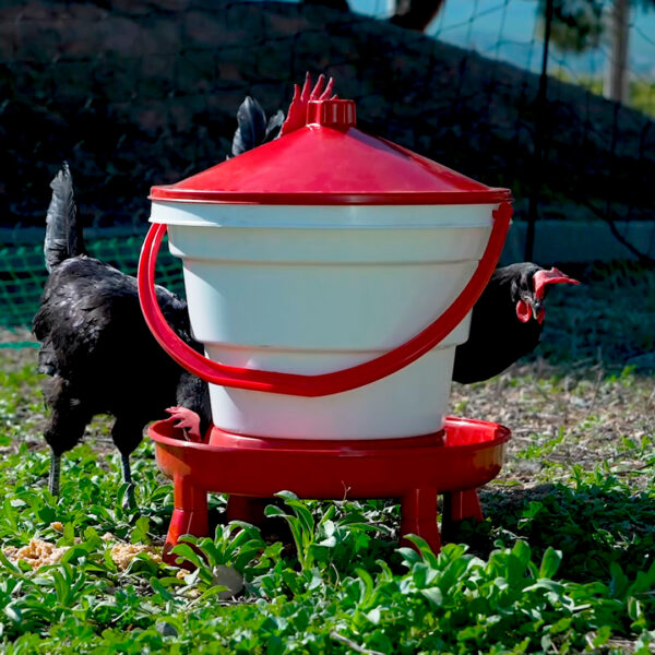 Bebedero cubo con patas