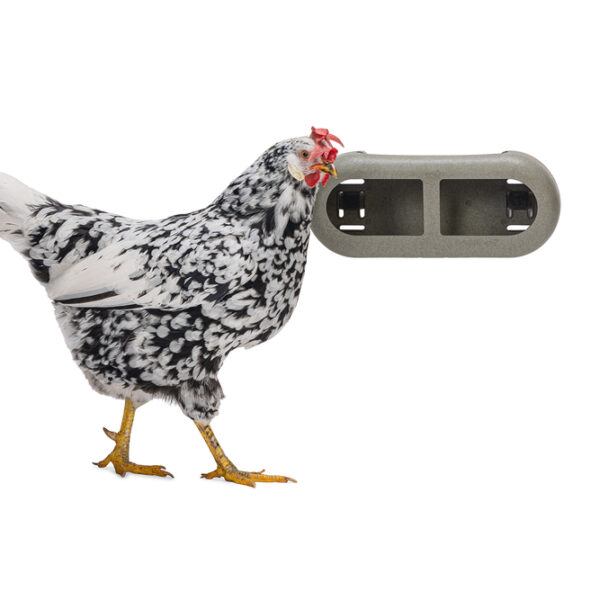 CHICKEN FEEDER WITH VELCRO ATTACHMENTS 100 % RECYCLED